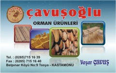 ağaç kartvizitleri, çavuşoğlu orman ürünleri