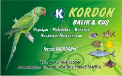 akvaryum kartvizitleri, kordon balık kuş