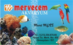 akvaryum kartvizitleri, mervecem akvaryum