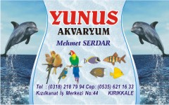 akvaryum kartvizitleri, yunus akvaryum