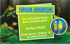 akvaryum kartvizitleri, furkan akvaryum