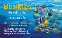 akvaryum kartvizitleri, beşiktaş akvaryum