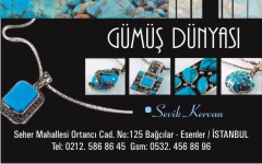 altın kartvizitleri, gümüş dünyası