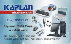 bilgisayar kartvizitleri, kaplan bilgisayar