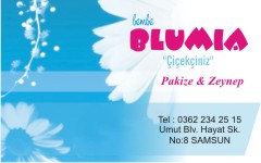 çiçek kartvizitleri, blumia çiçekçilik