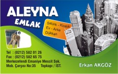 emlak kartvizitleri, aleyna emlak
