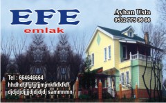 emlak kartvizitleri, efe emlak