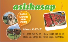 kasap kartvizitleri, aslı kasap