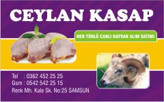 kasap kartvizitleri, ceylan kasap