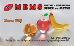 manav kartvizitleri, mems toptan sebze ve meyve
