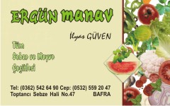 manav kartvizitleri, ergün manav